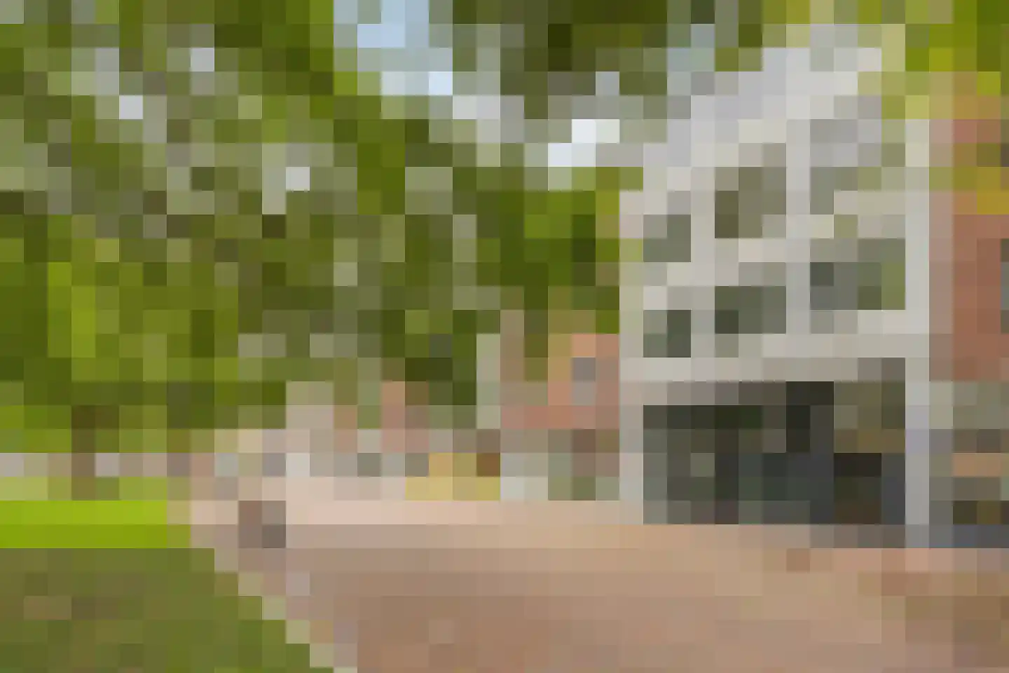 Gele Rijders Plein 17 2R Arnhem thumbnail 14