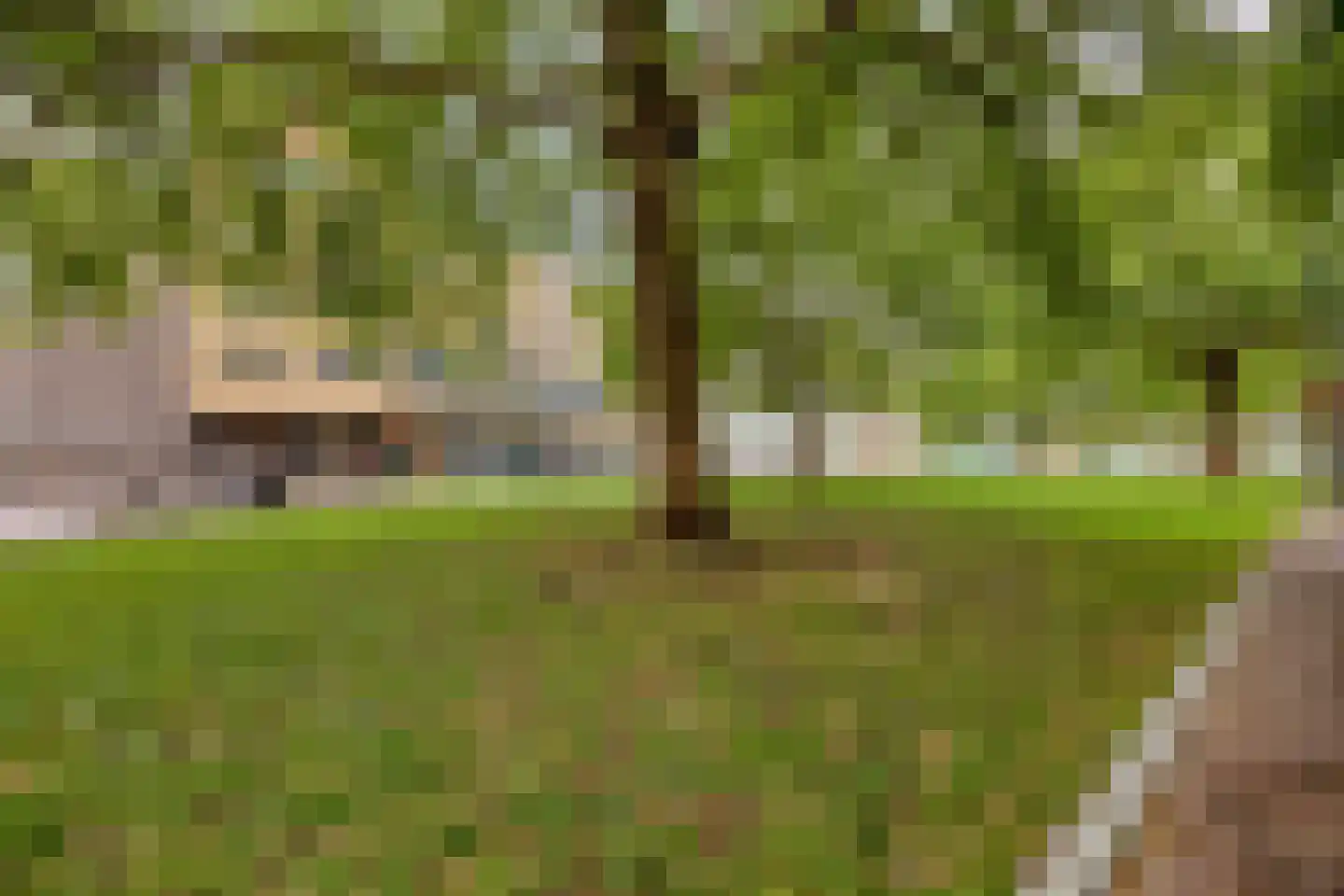 Gele Rijders Plein 17 2R Arnhem thumbnail 16