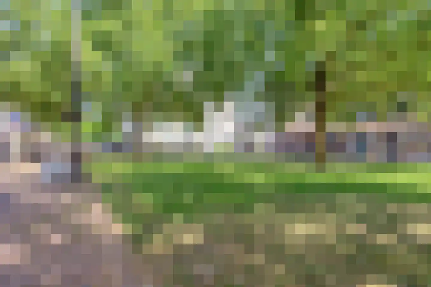 Gele Rijders Plein 22 1 Arnhem thumbnail 26