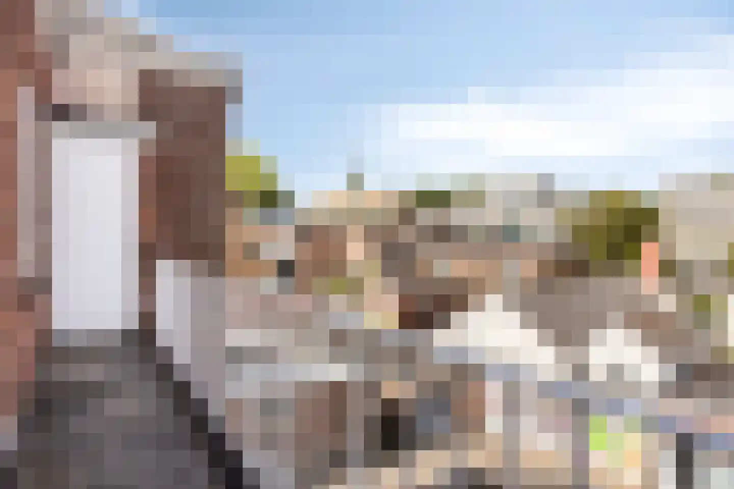 Gele Rijders Plein 31 3 Arnhem thumbnail 27
