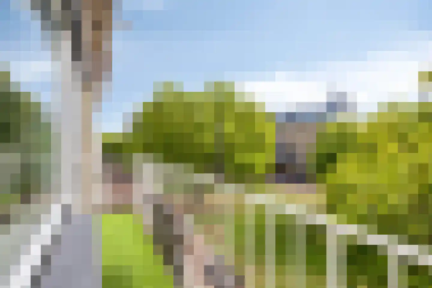 Gele Rijders Plein 31 3 Arnhem thumbnail 5