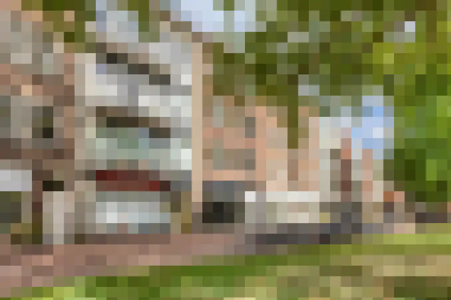 Gele Rijders Plein 31 3 Arnhem thumbnail 6