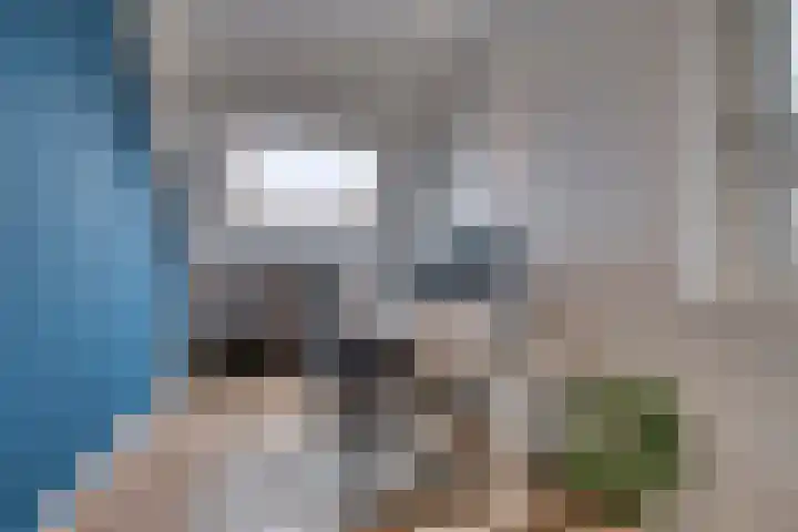 Gele Rijderspad 71 Veenendaal thumbnail 31