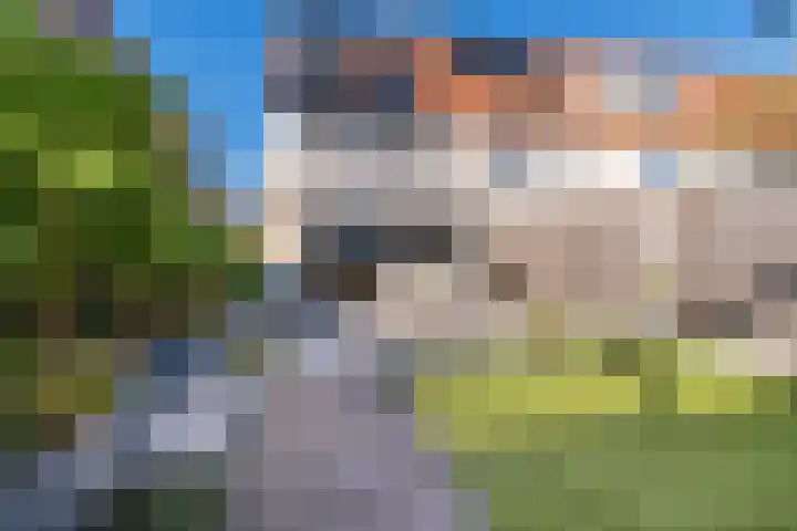 Gele Rijderspad 71 Veenendaal thumbnail 33