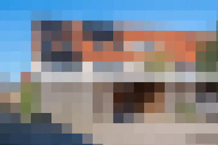 Gele Rijderspad 71 Veenendaal thumbnail 41
