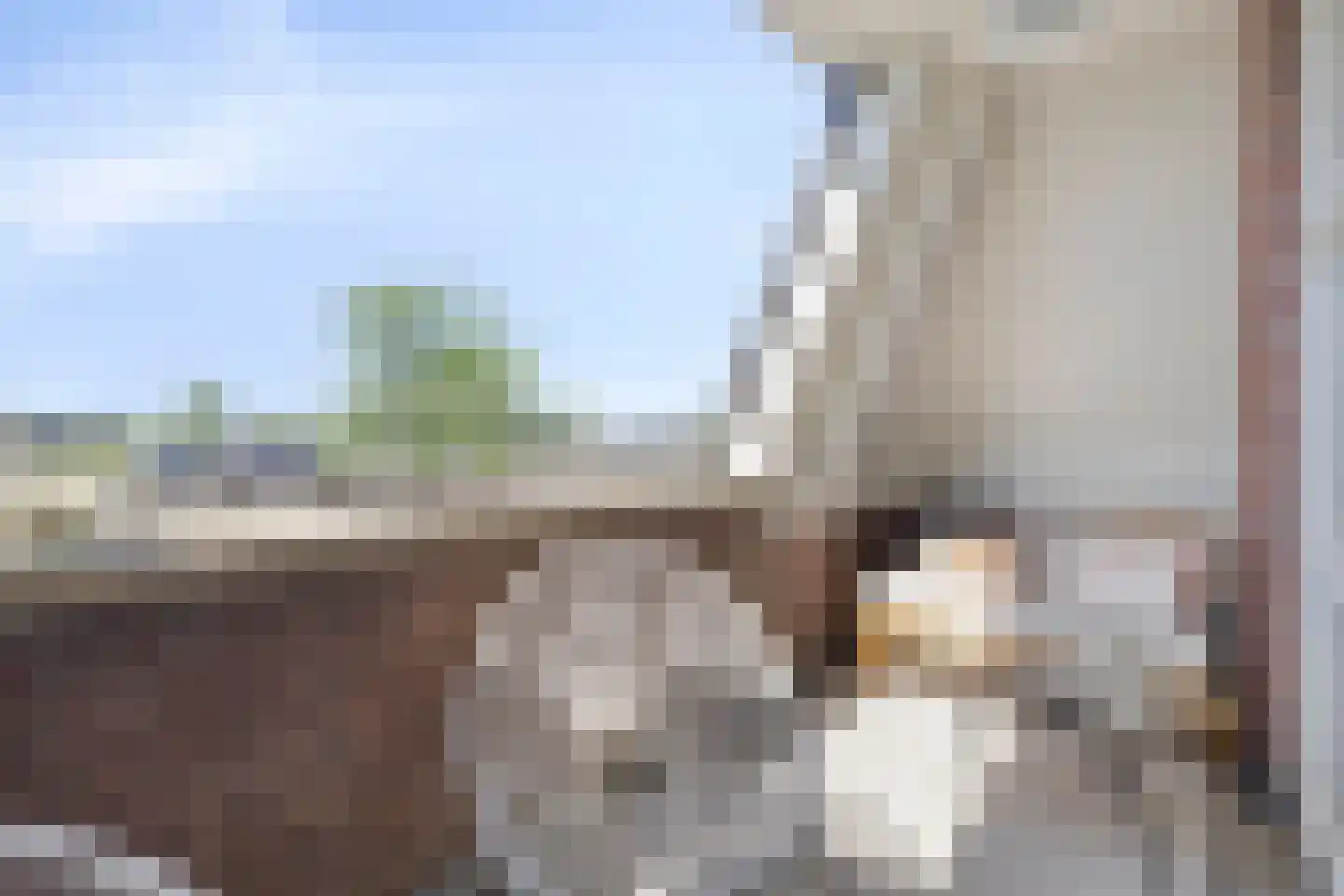 Gele Rijersplein 42 Valkenswaard thumbnail 10