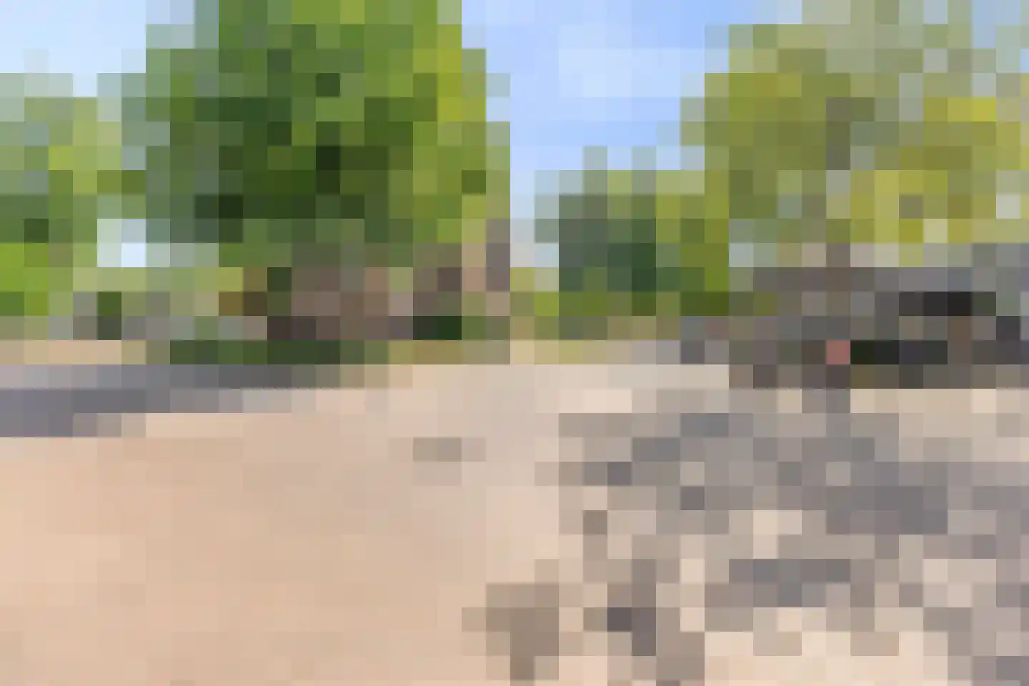 Gele Rijersplein 42 Valkenswaard thumbnail 31