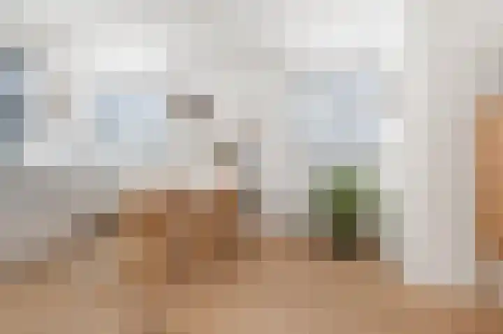 Gele Ring 164 Assendelft thumbnail 5