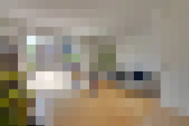 Gele Ring 214 Assendelft thumbnail 10