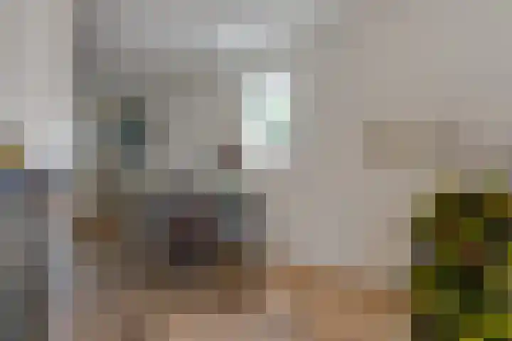 Gele Ring 214 Assendelft thumbnail 15