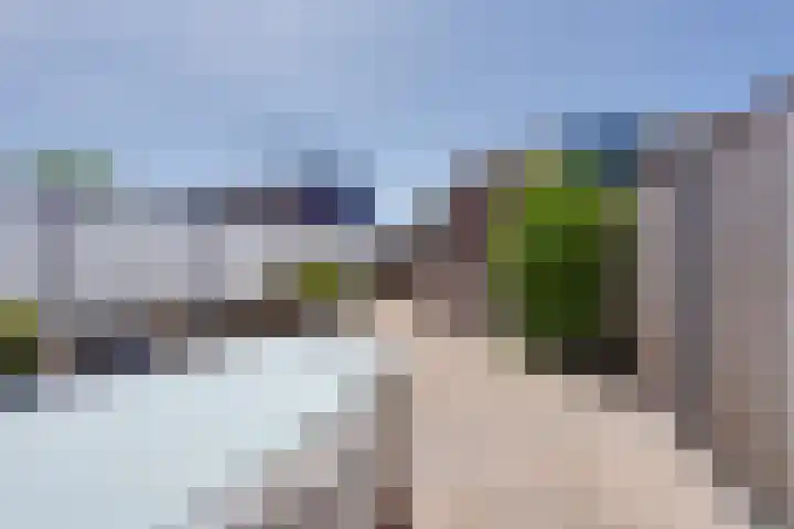 Gele Ring 214 Assendelft thumbnail 22
