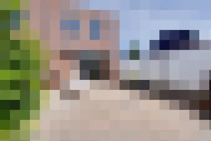 Gele Ring 214 Assendelft thumbnail 23