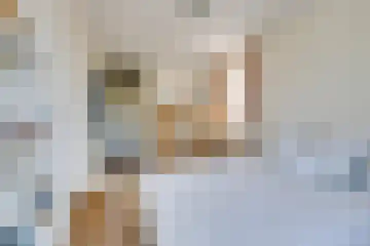 Gele Ring 214 Assendelft thumbnail 28