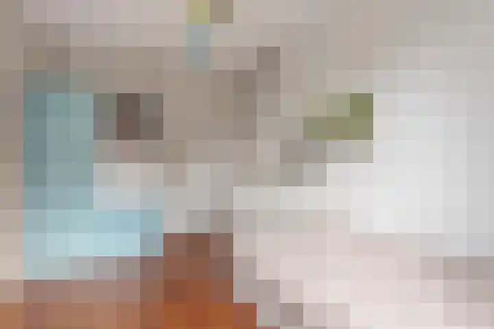 Gele Ring 233 Assendelft thumbnail 16