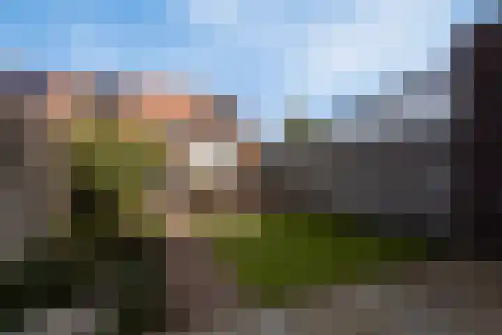 Gele Ring 233 Assendelft thumbnail 19