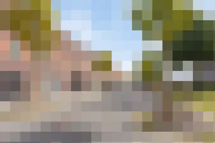 Gele Ring 233 Assendelft thumbnail 24