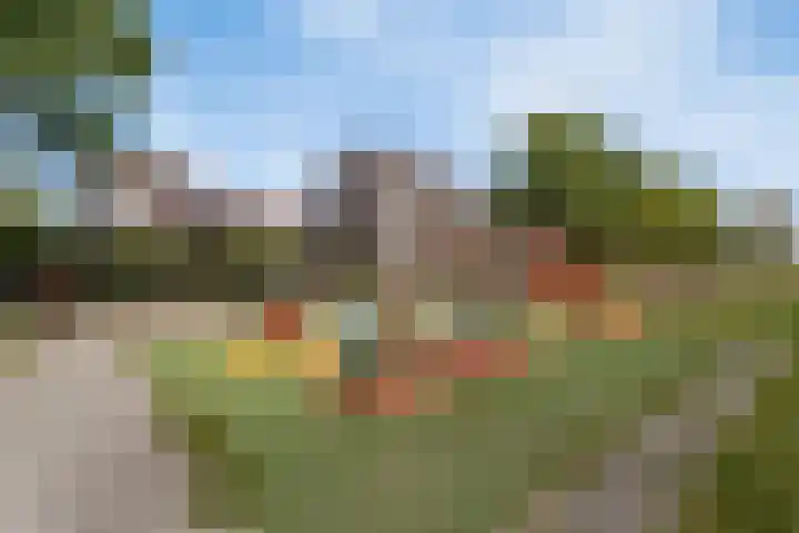 Gele Ring 233 Assendelft thumbnail 26
