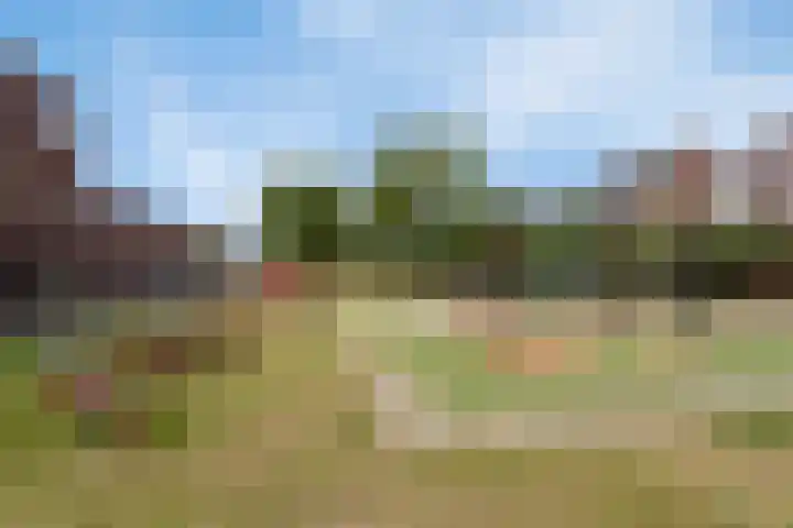 Gele Ring 233 Assendelft thumbnail 27