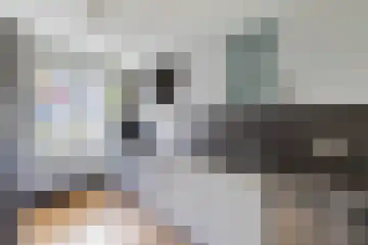 Gele Ring 253 Assendelft thumbnail 10