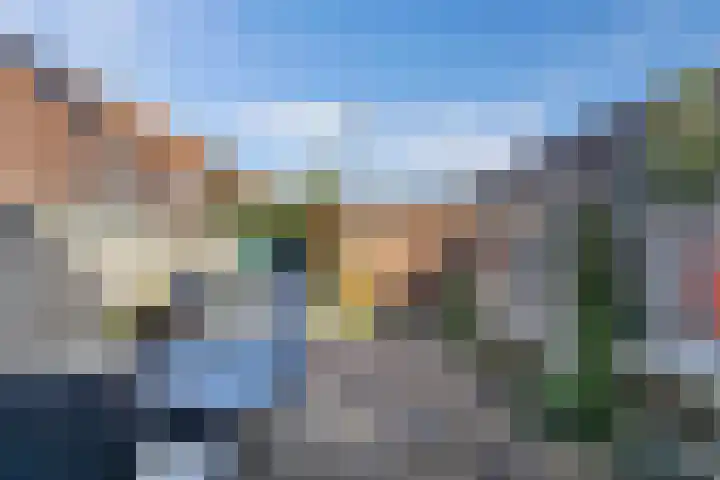 Gele Ring 253 Assendelft thumbnail 13