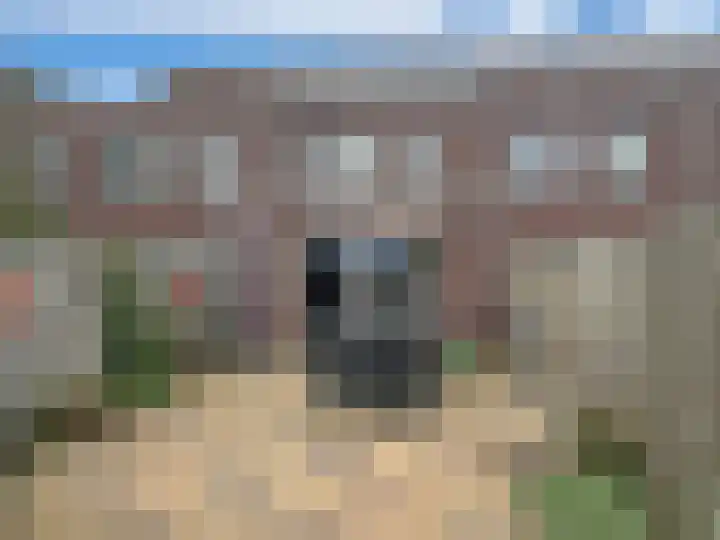 Gele Ring 253 Assendelft thumbnail 14