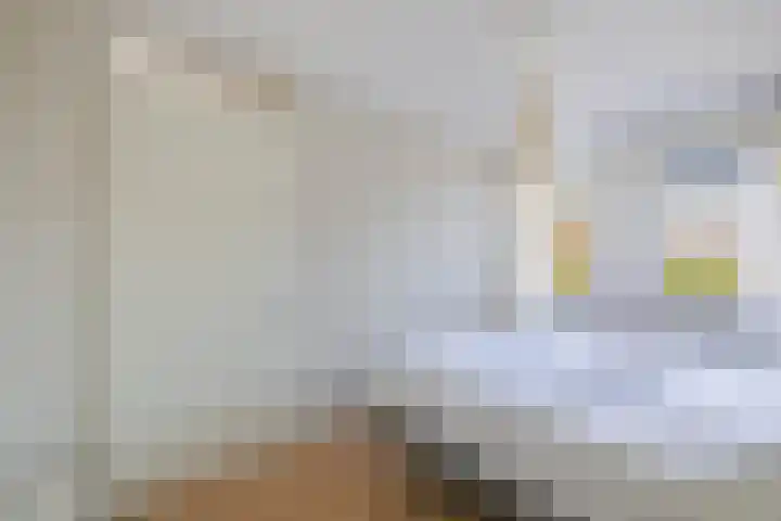 Gele Ring 253 Assendelft thumbnail 16