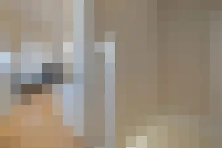 Gele Ring 253 Assendelft thumbnail 23