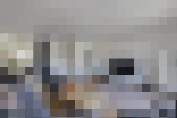 Gele Ring 253 Assendelft thumbnail 4