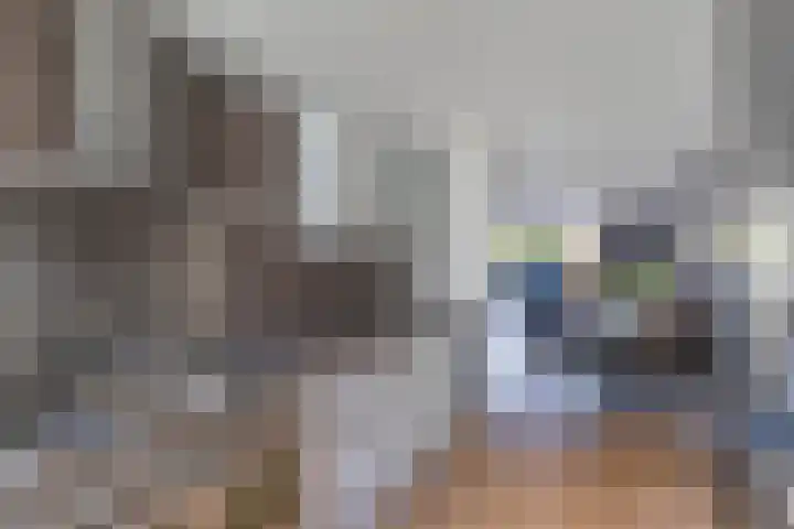 Gele Ring 253 Assendelft thumbnail 9