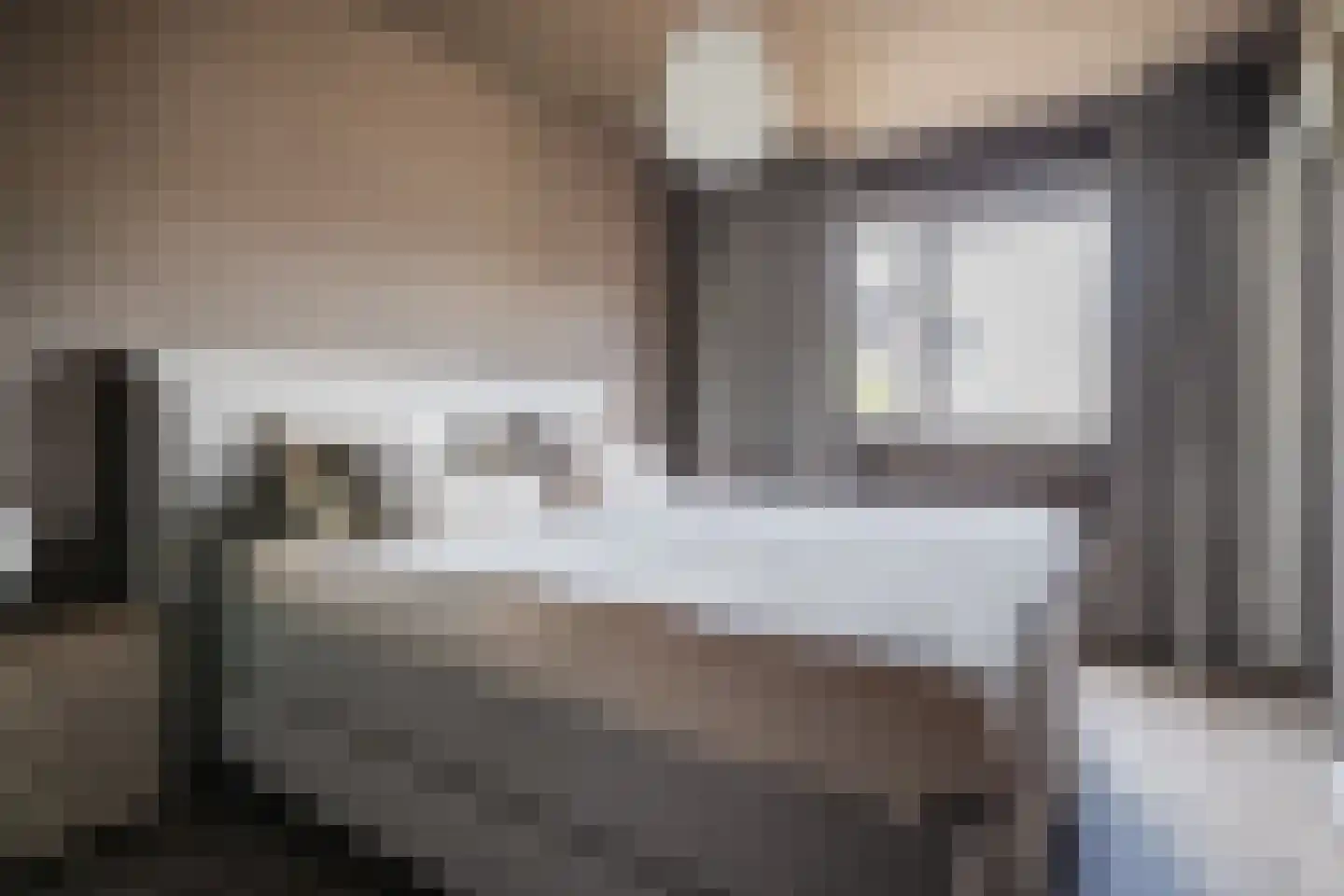 Gele Varaan 14 Heerhugowaard thumbnail 15