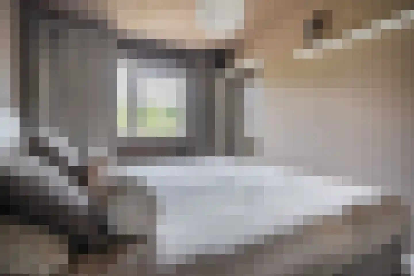 Gele Varaan 14 Heerhugowaard thumbnail 17