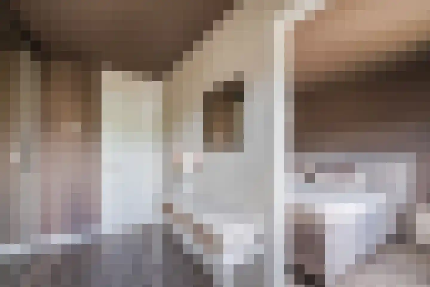 Gele Varaan 14 Heerhugowaard thumbnail 18