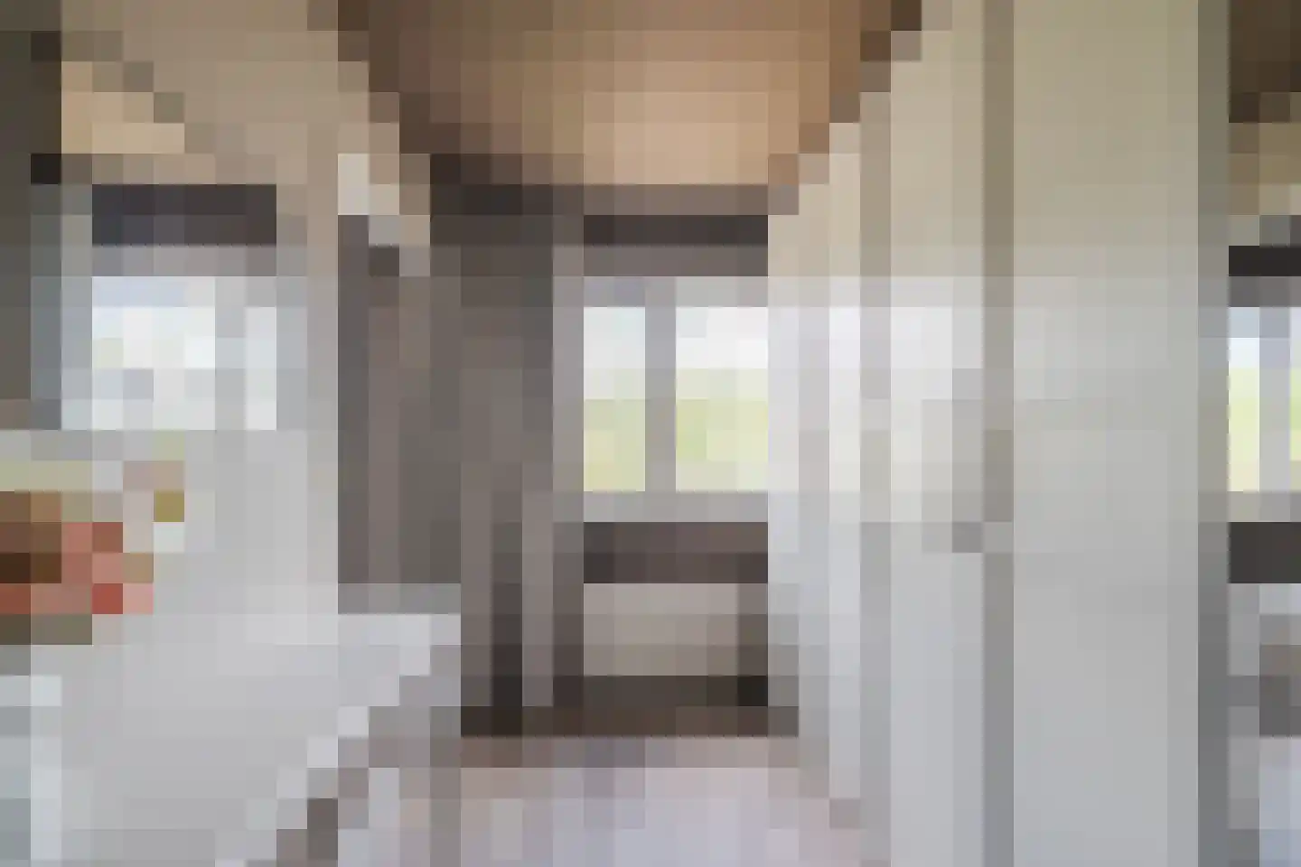 Gele Varaan 14 Heerhugowaard thumbnail 19