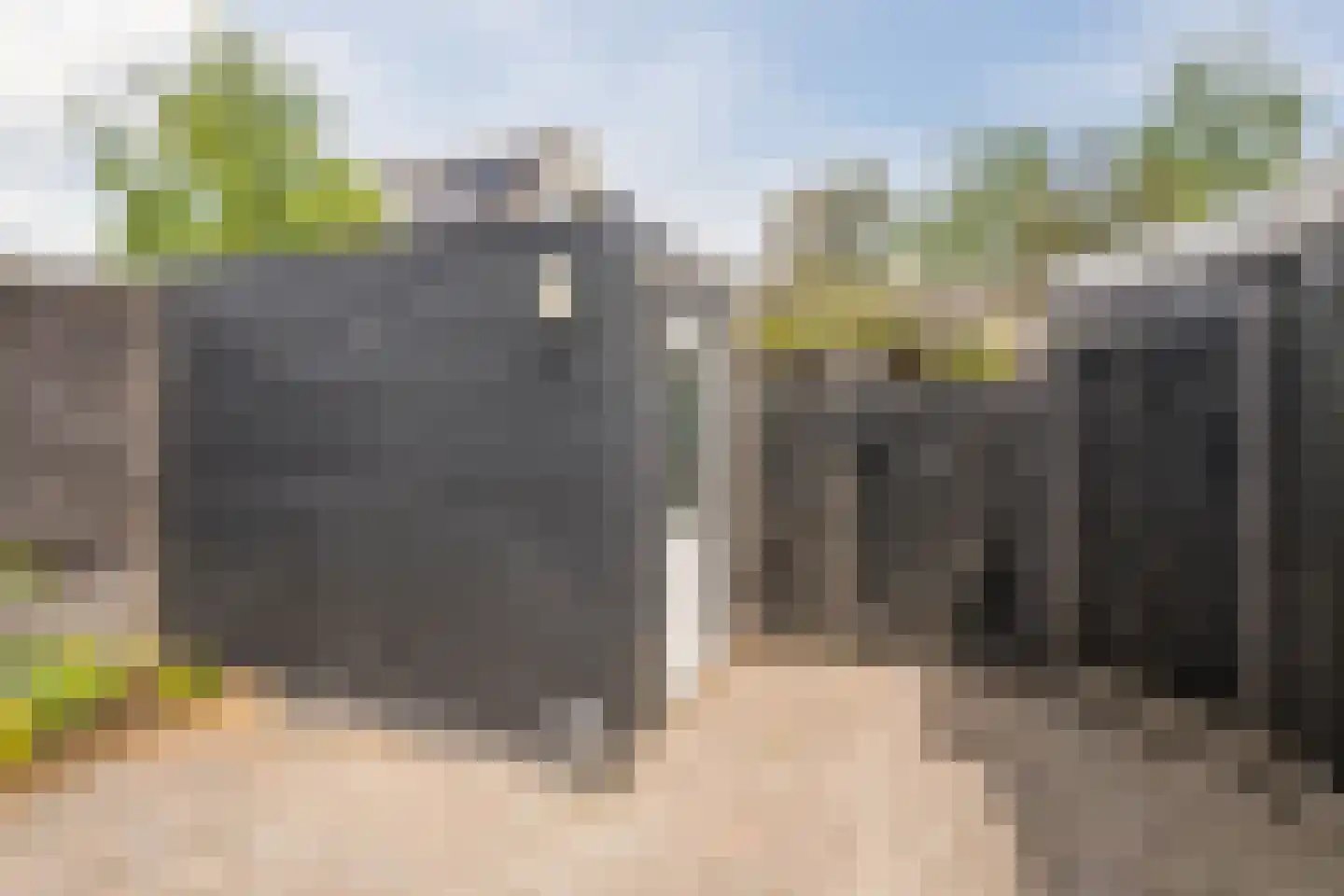 Gele Varaan 14 Heerhugowaard thumbnail 35