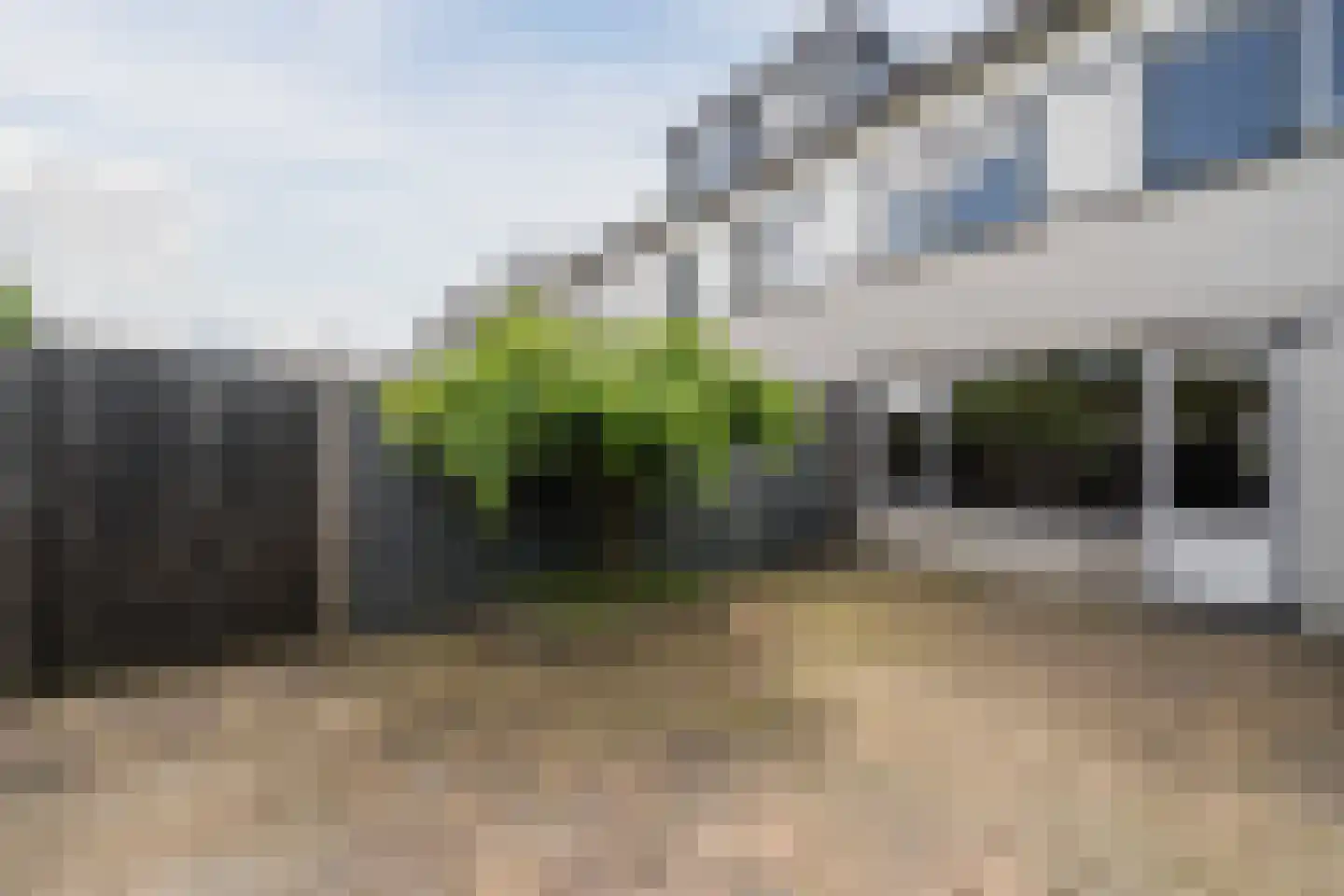 Gele Varaan 14 Heerhugowaard thumbnail 37