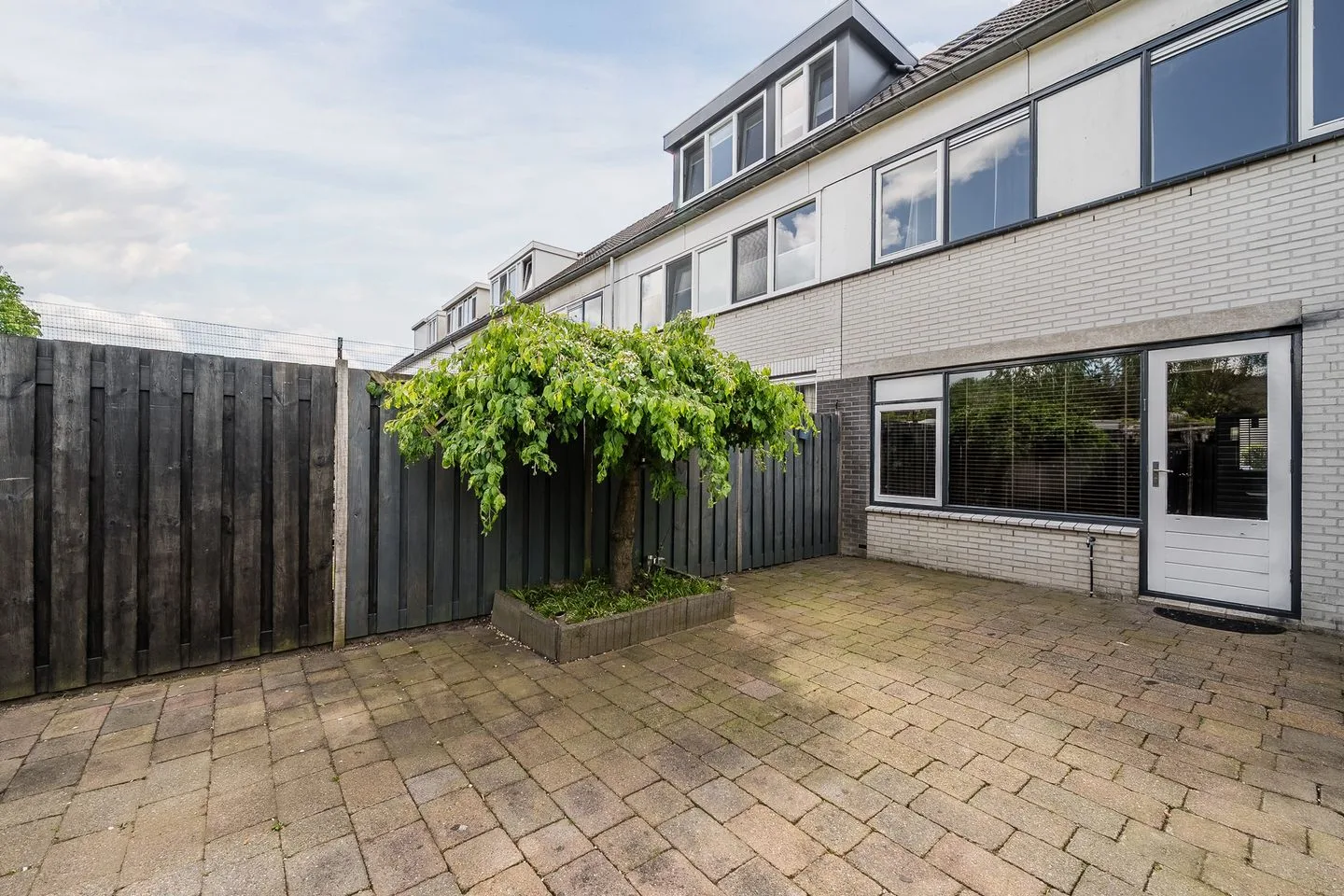 Gele Varaan 14 Heerhugowaard thumbnail 37
