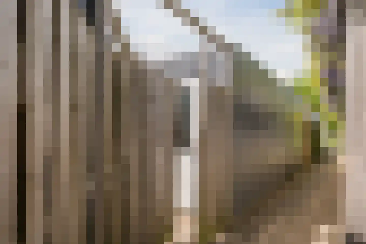 Gele Varaan 14 Heerhugowaard thumbnail 38