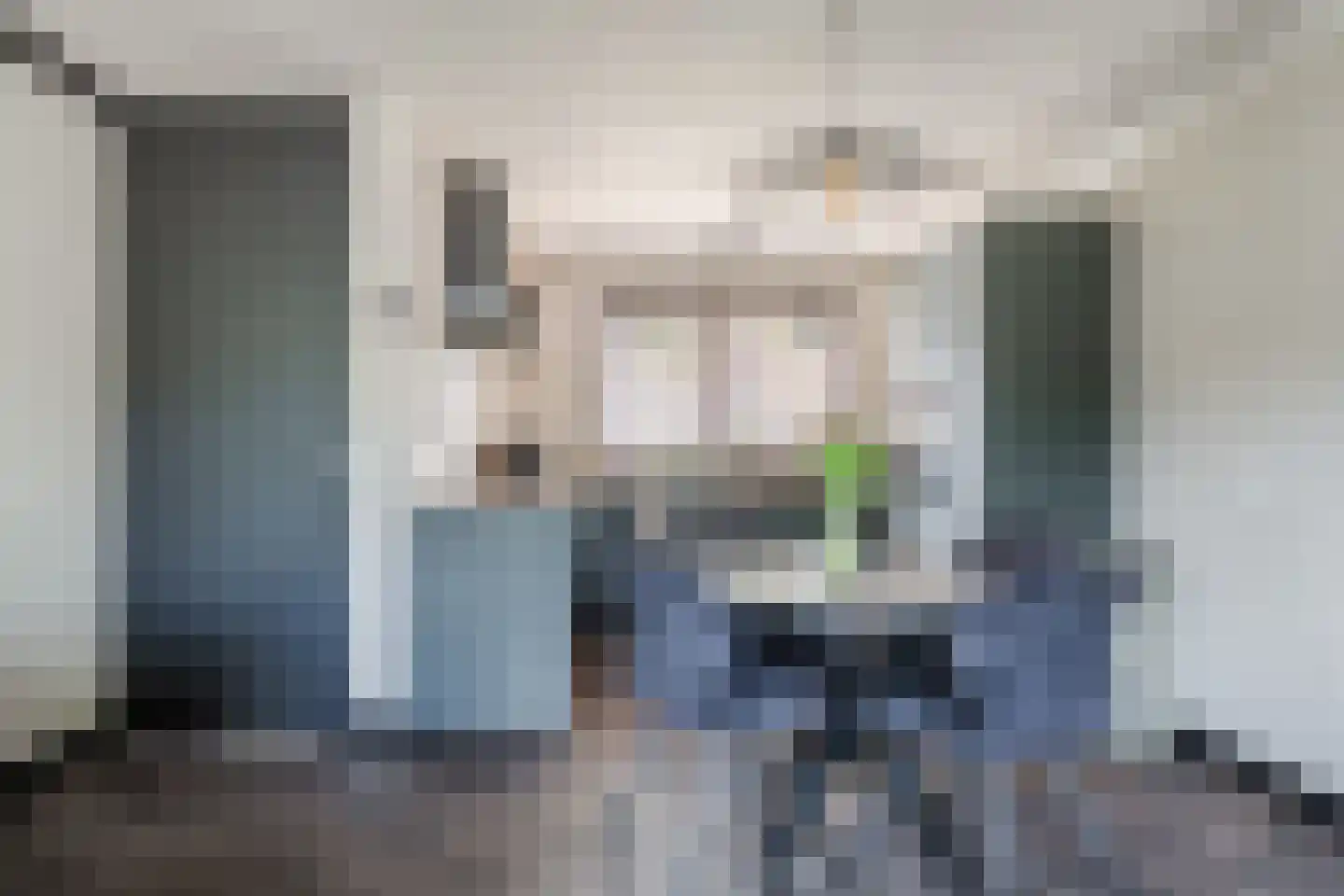 Gele Varaan 14 Heerhugowaard thumbnail 4