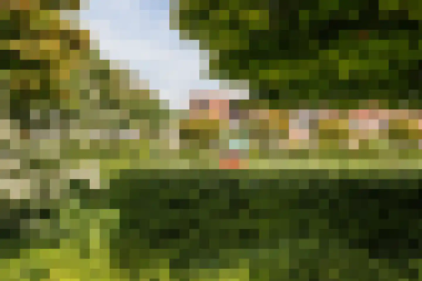 Gele Varaan 14 Heerhugowaard thumbnail 40