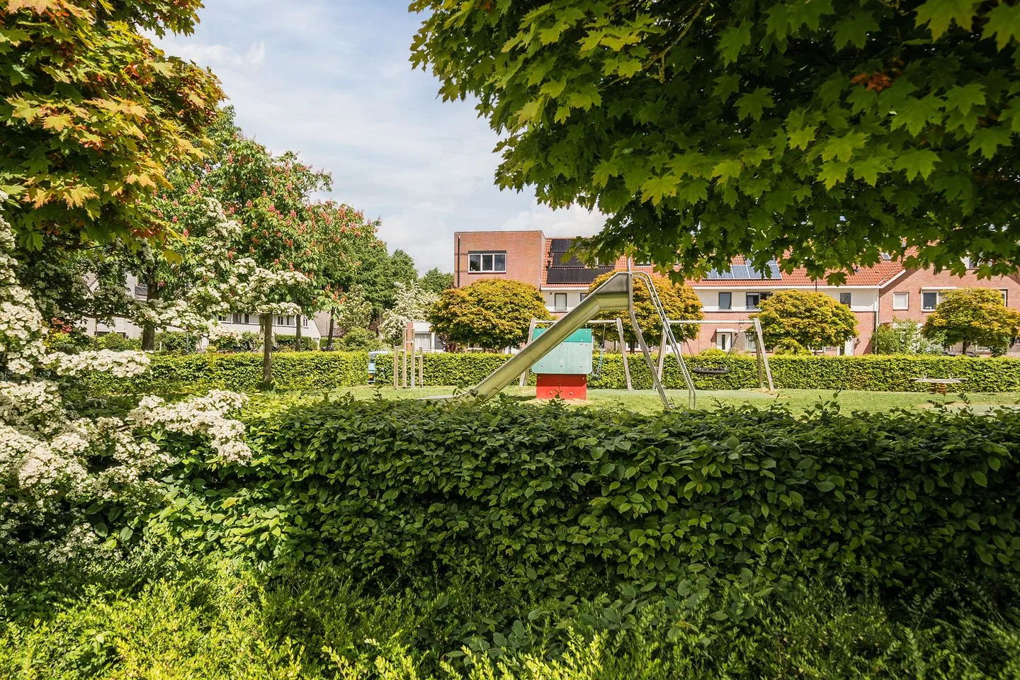 Gele Varaan 14 Heerhugowaard thumbnail 40