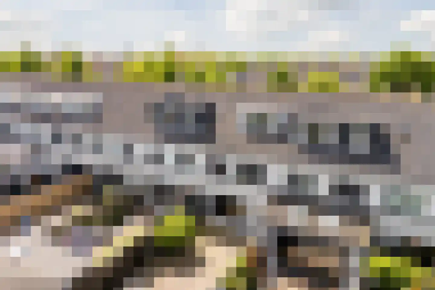 Gele Varaan 14 Heerhugowaard thumbnail 42