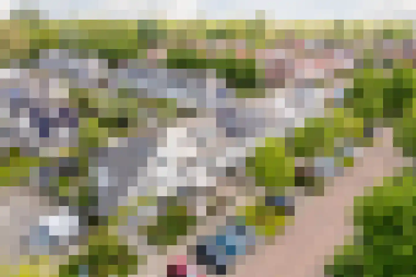 Gele Varaan 14 Heerhugowaard thumbnail 43