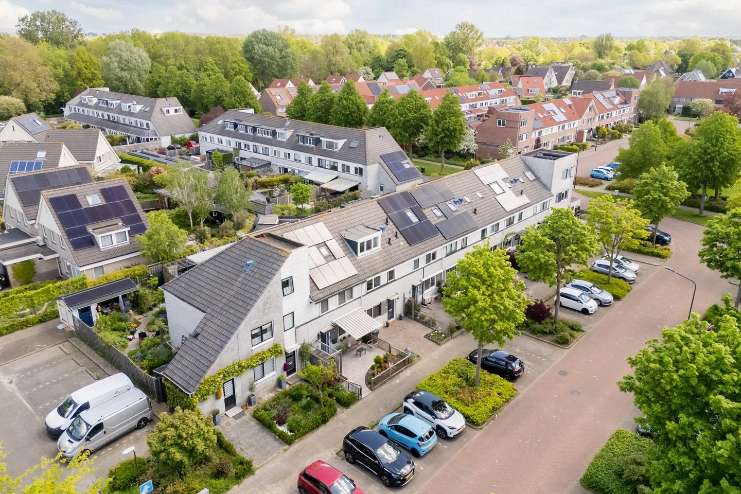 Gele Varaan 14 Heerhugowaard thumbnail 43