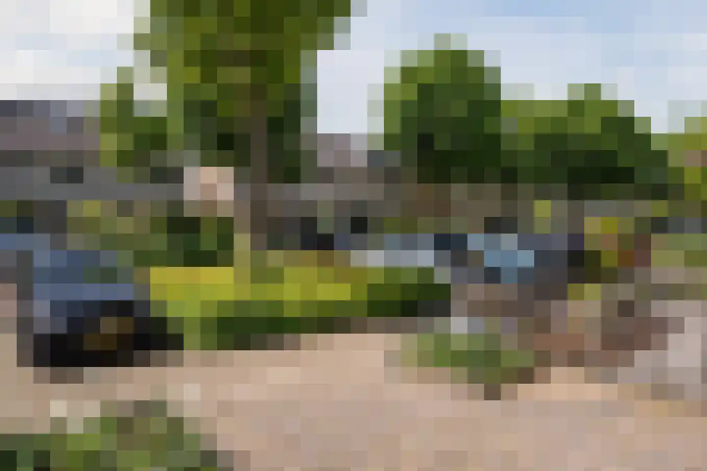 Gele Varaan 14 Heerhugowaard thumbnail 44