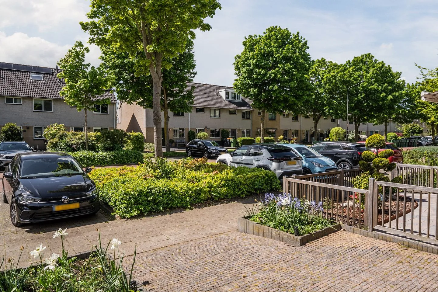 Gele Varaan 14 Heerhugowaard thumbnail 44