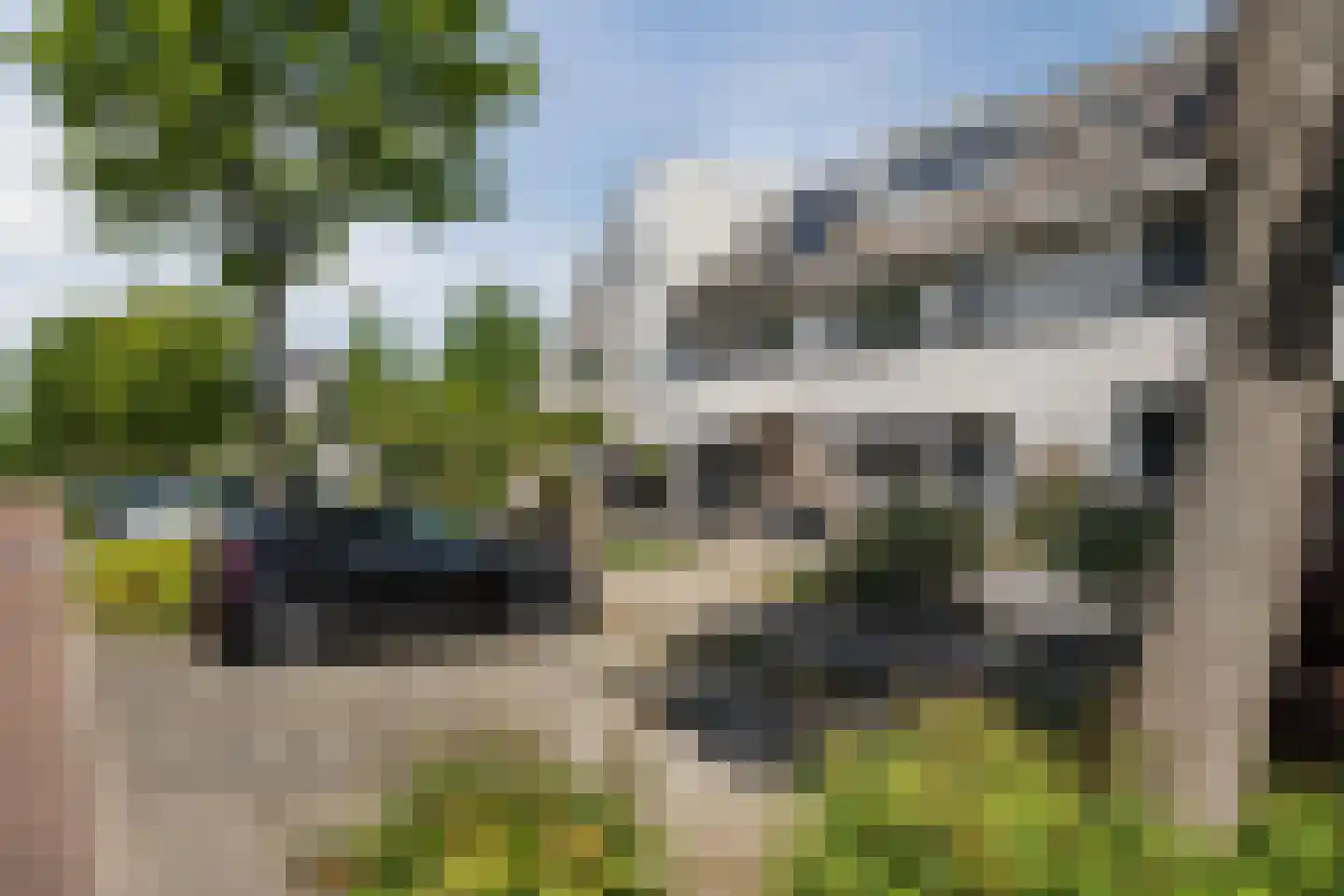 Gele Varaan 14 Heerhugowaard thumbnail 45