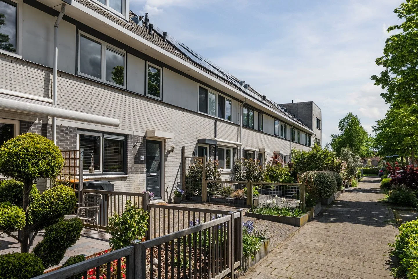 Gele Varaan 14 Heerhugowaard thumbnail 46