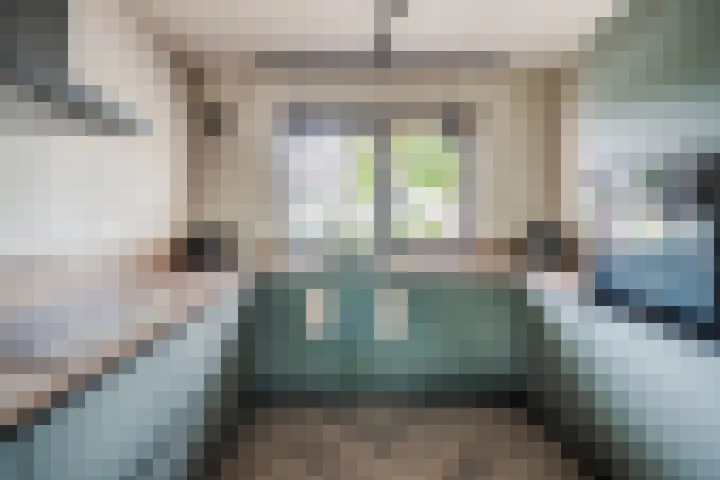 Gele Varaan 14 Heerhugowaard thumbnail 5