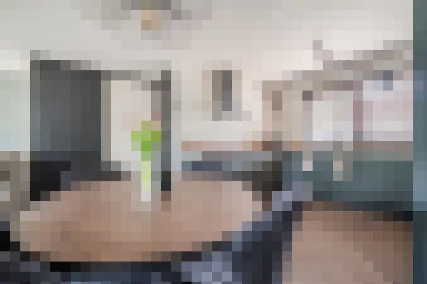 Gele Varaan 14 Heerhugowaard thumbnail 8