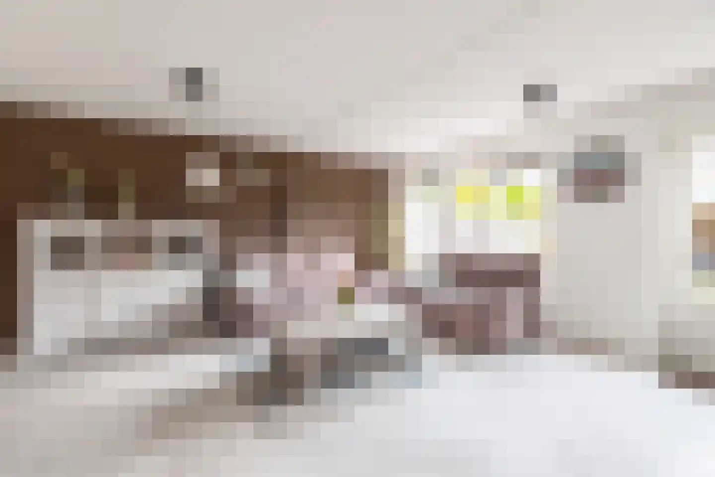 Gele Varaan 15 Heerhugowaard thumbnail 10